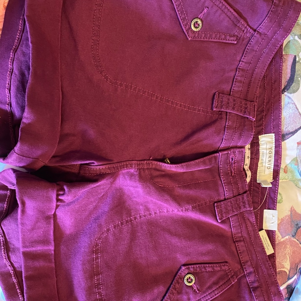 Torrid Shorts